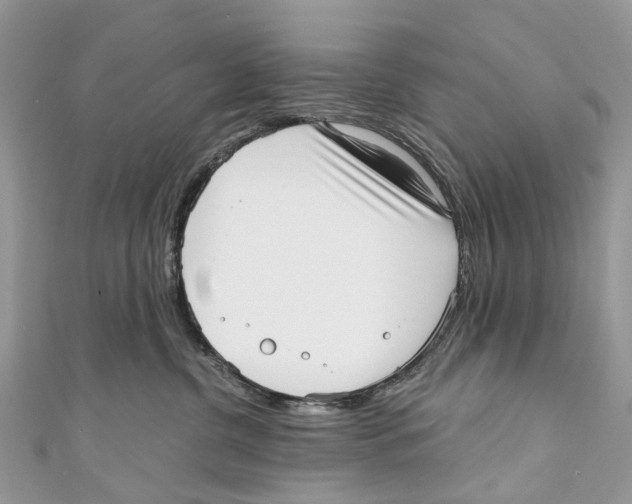 X0000110980380200907171736