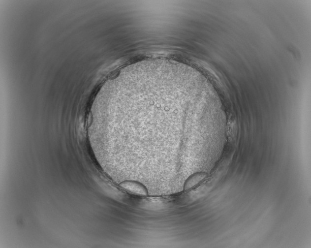 X0000110980381200907171736