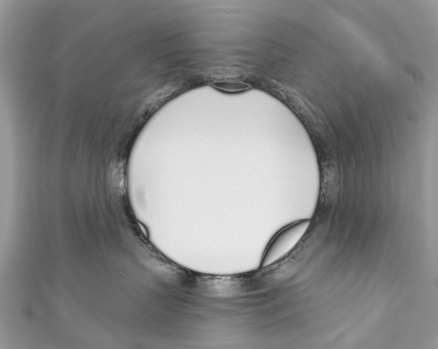 X0000110980383200907171736