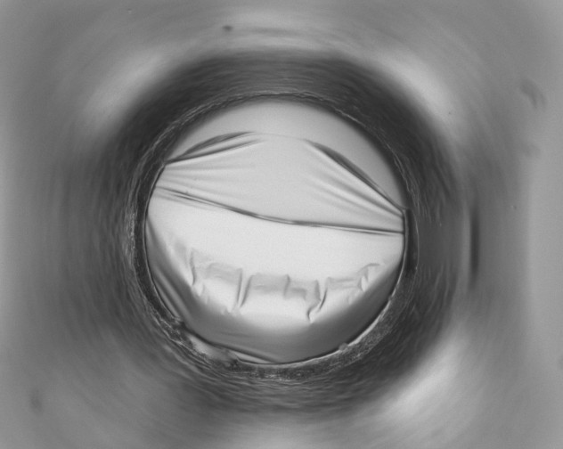 X0000110980387200907171736