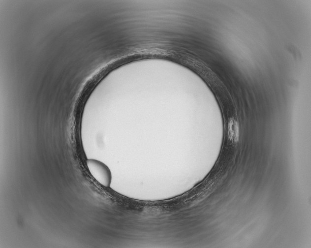 X0000110980388200907171736