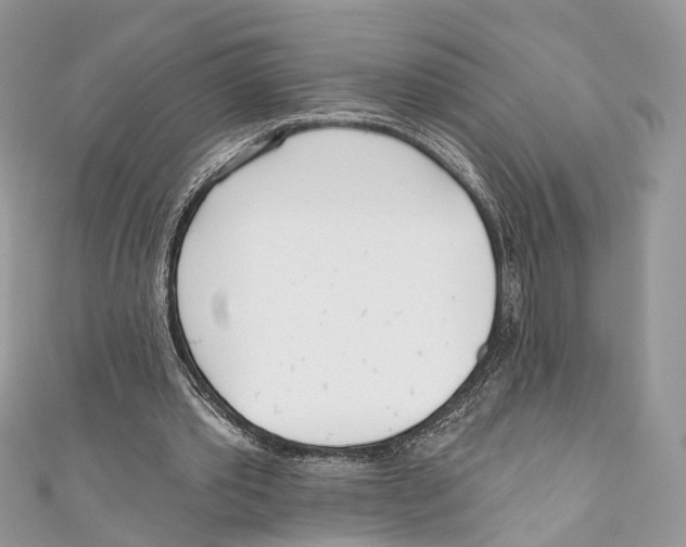 X0000110980389200907171736