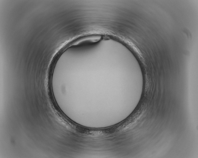 X0000110980391200907171736