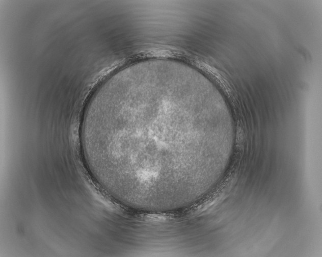 X0000110980394200907171736