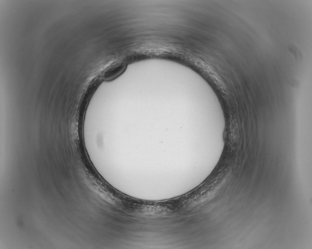 X0000110980399200907171736