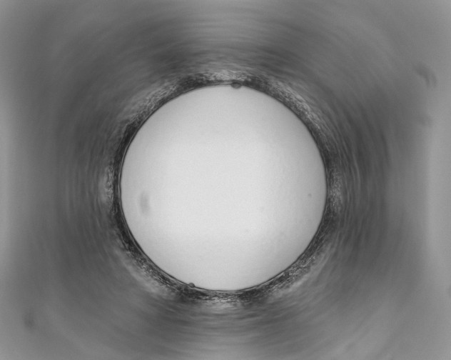 X0000110980402200907171736