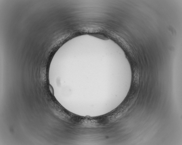 X0000110980403200907171736