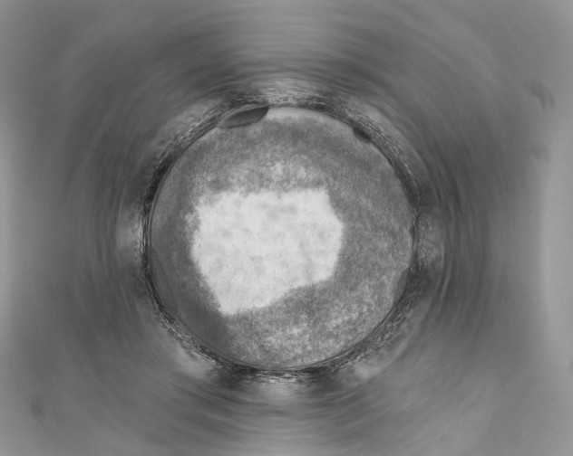 X0000110980405200907171735