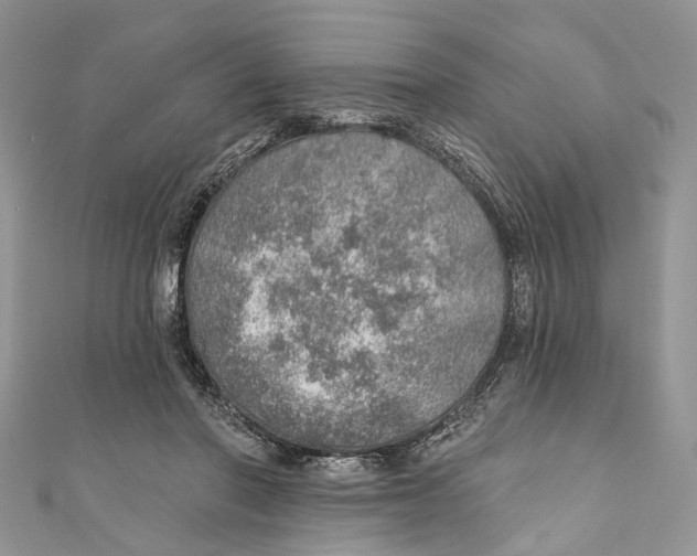 X0000110980406200907171735