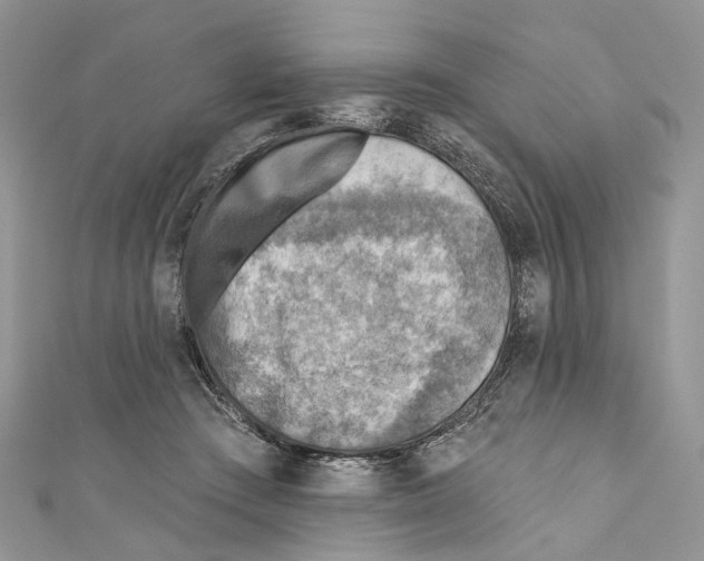 X0000110980409200907171735