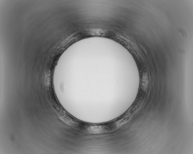 X0000110980413200907171735