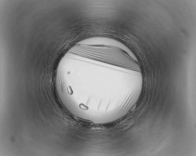 X0000110980415200907171735