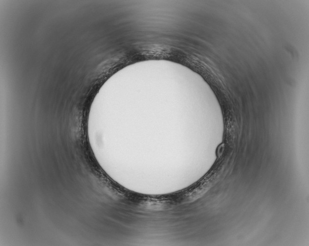 X0000110980416200907171735