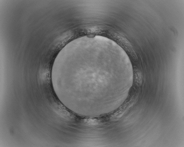 X0000110980419200907171735
