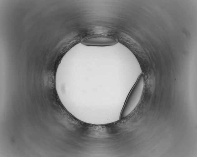 X0000110980421200907171735