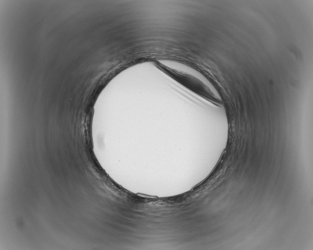 X0000110980423200907171735