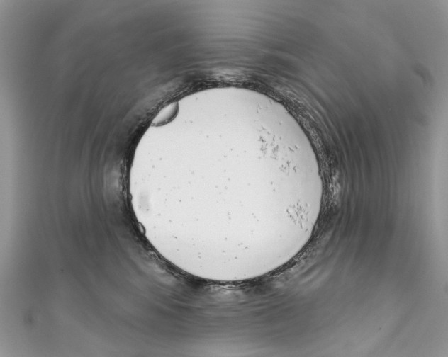X0000110980424200907171735
