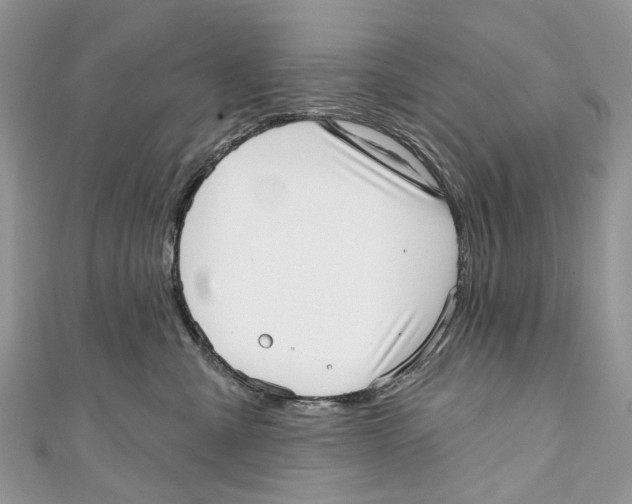 X0000110980427200907171735