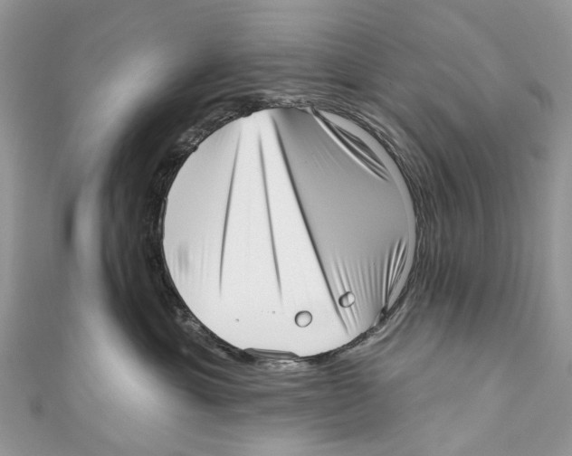 X0000110980429200907171735