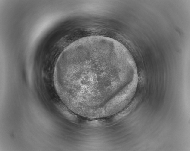 X0000110980430200907171735