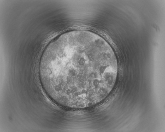 X0000110980433200907171735
