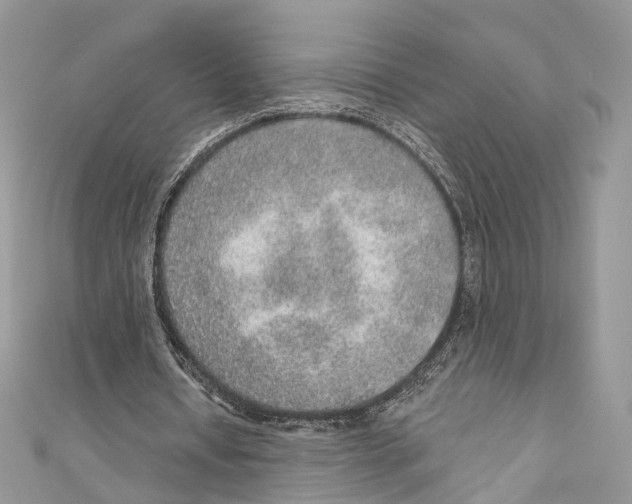 X0000110980434200907171735