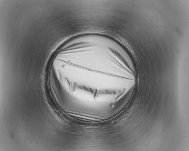 X0000110980436200907171735