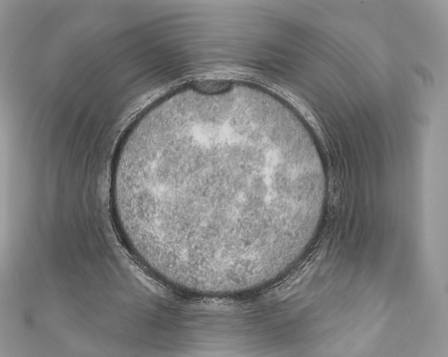 X0000110980437200907171735