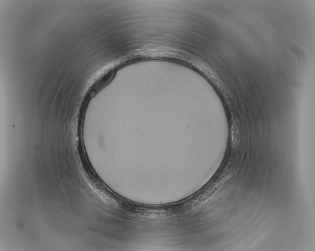 X0000110980438200907171735