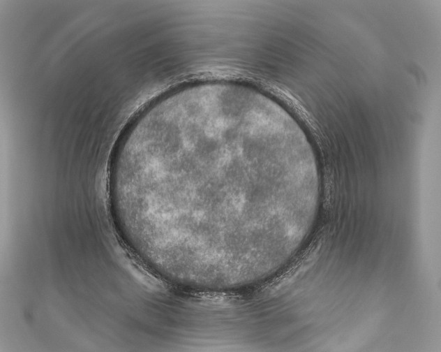 X0000110980439200907171735