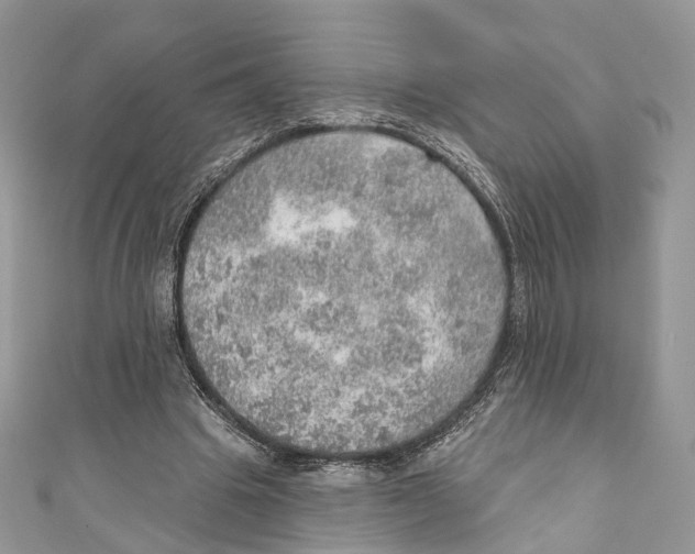 X0000110980441200907171735