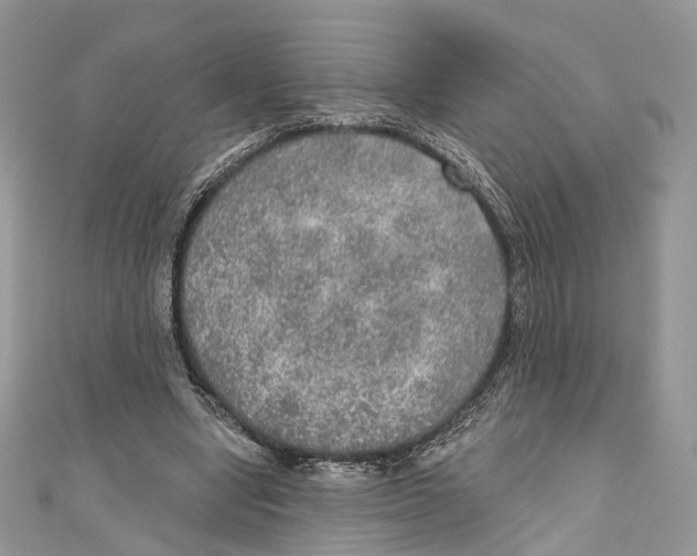 X0000110980442200907171735