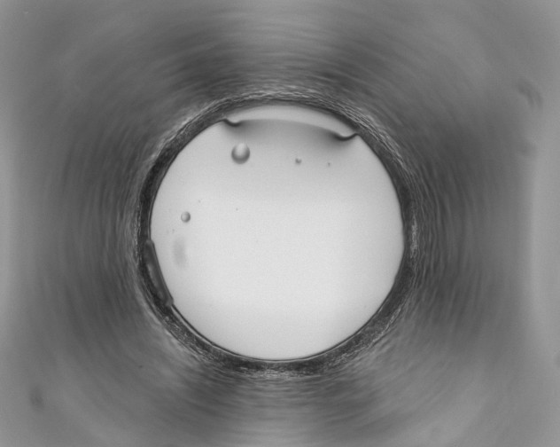 X0000110980444200907171735
