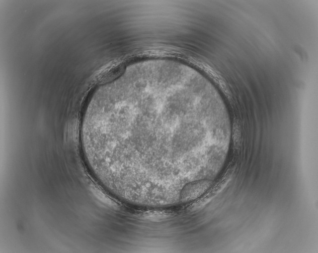 X0000110980445200907171735