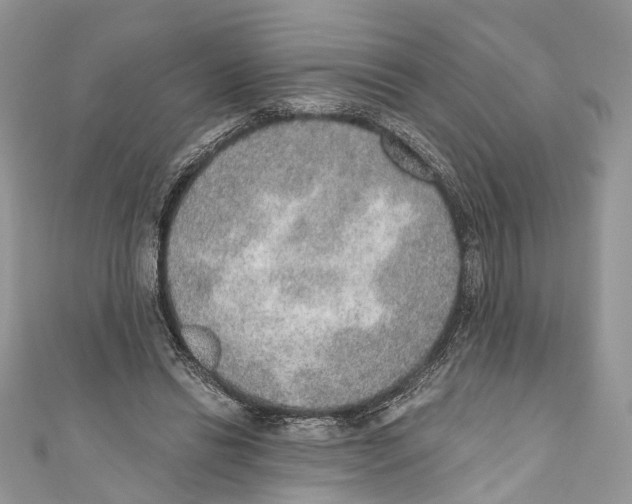 X0000110980446200907171735