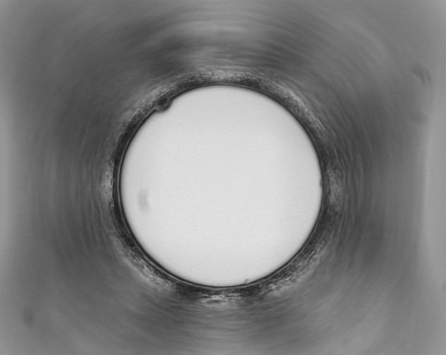 X0000110980447200907171735