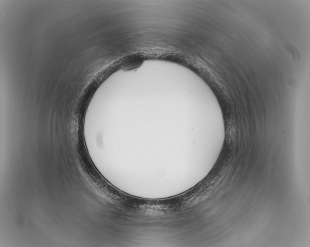 X0000110980448200907171735