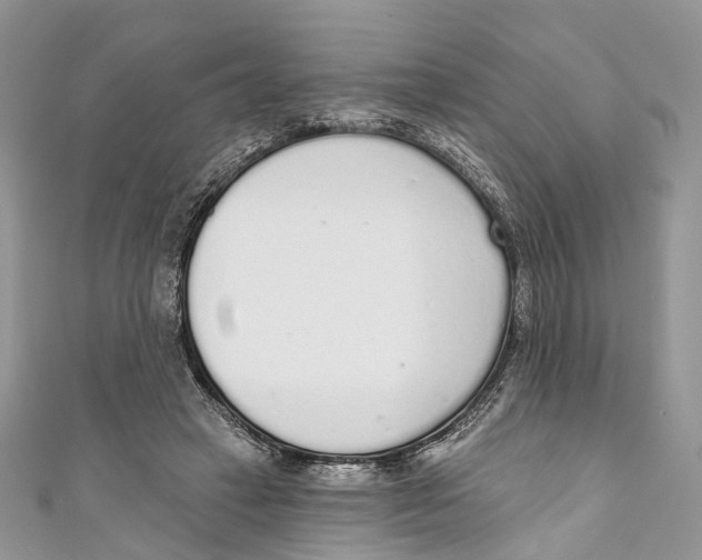 X0000110980449200907171735