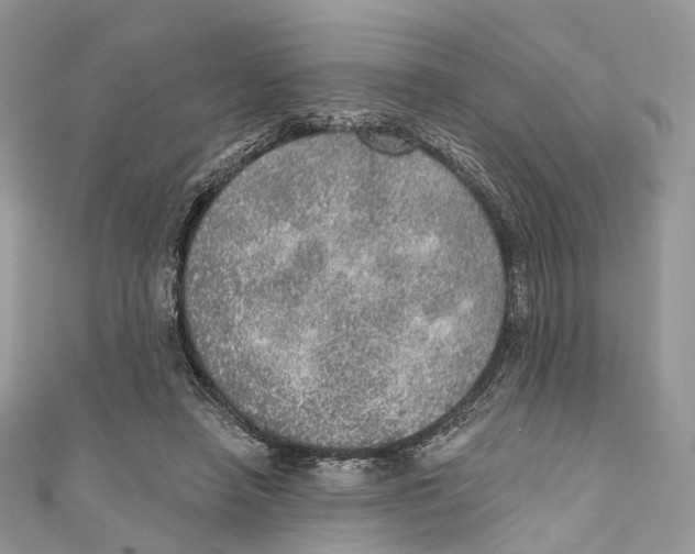 X0000110980450200907171735