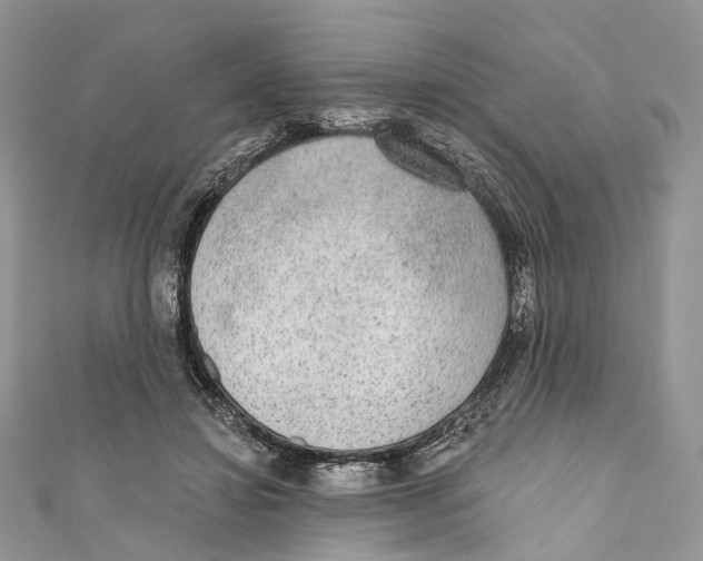X0000110980452200907171735