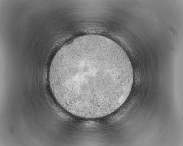 X0000110980453200907171735