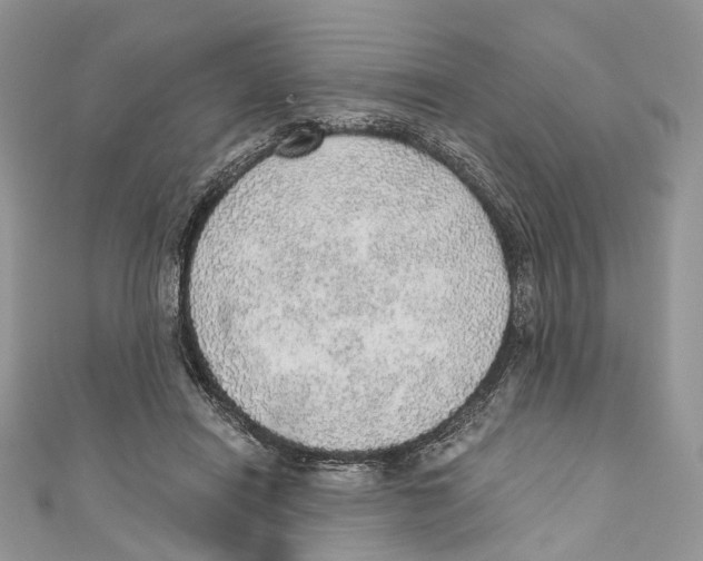 X0000110980454200907171735