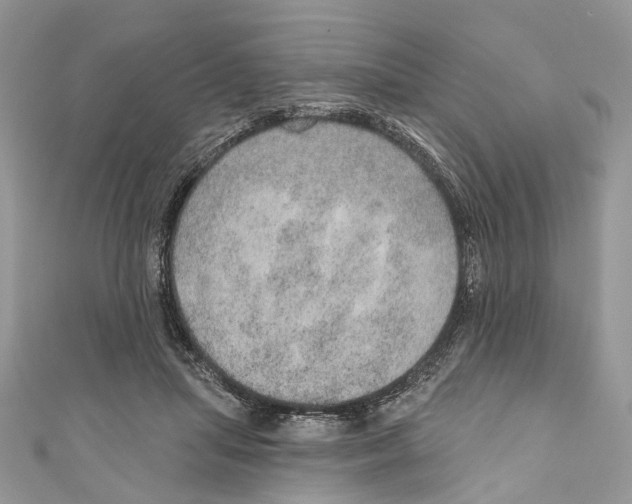 X0000110980455200907171735