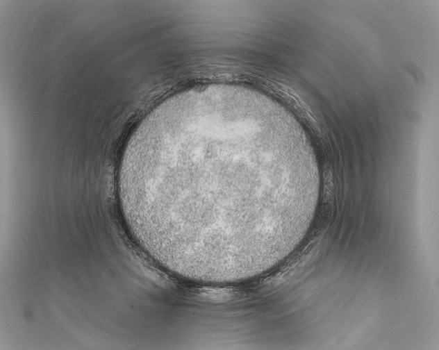 X0000110980457200907171735
