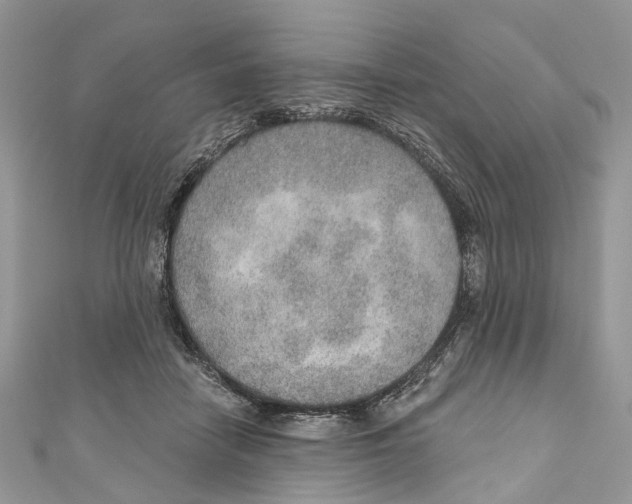 X0000110980458200907171735