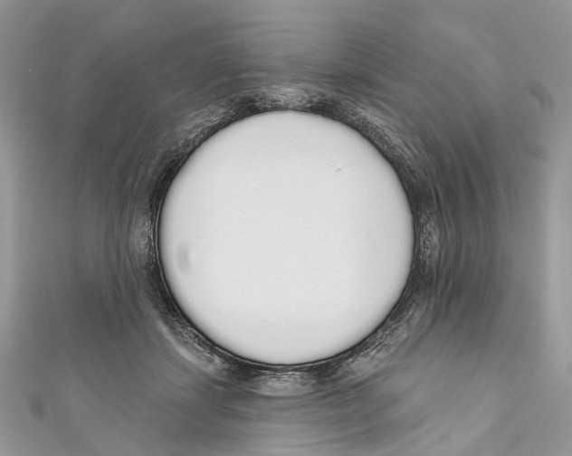 X0000110980459200907171735
