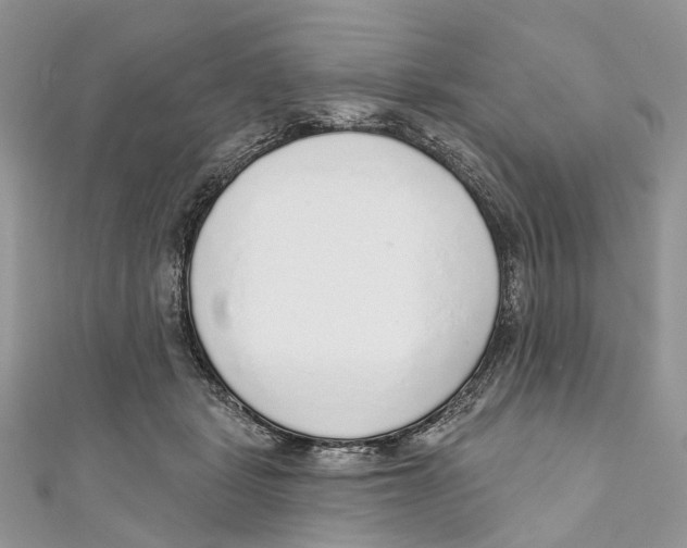 X0000110980461200907171735