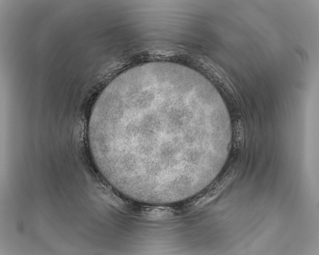 X0000110980463200907171735