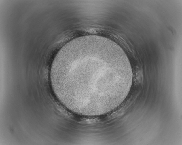 X0000110980466200907171735