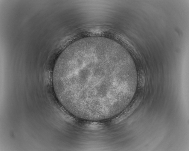 X0000110980467200907171735
